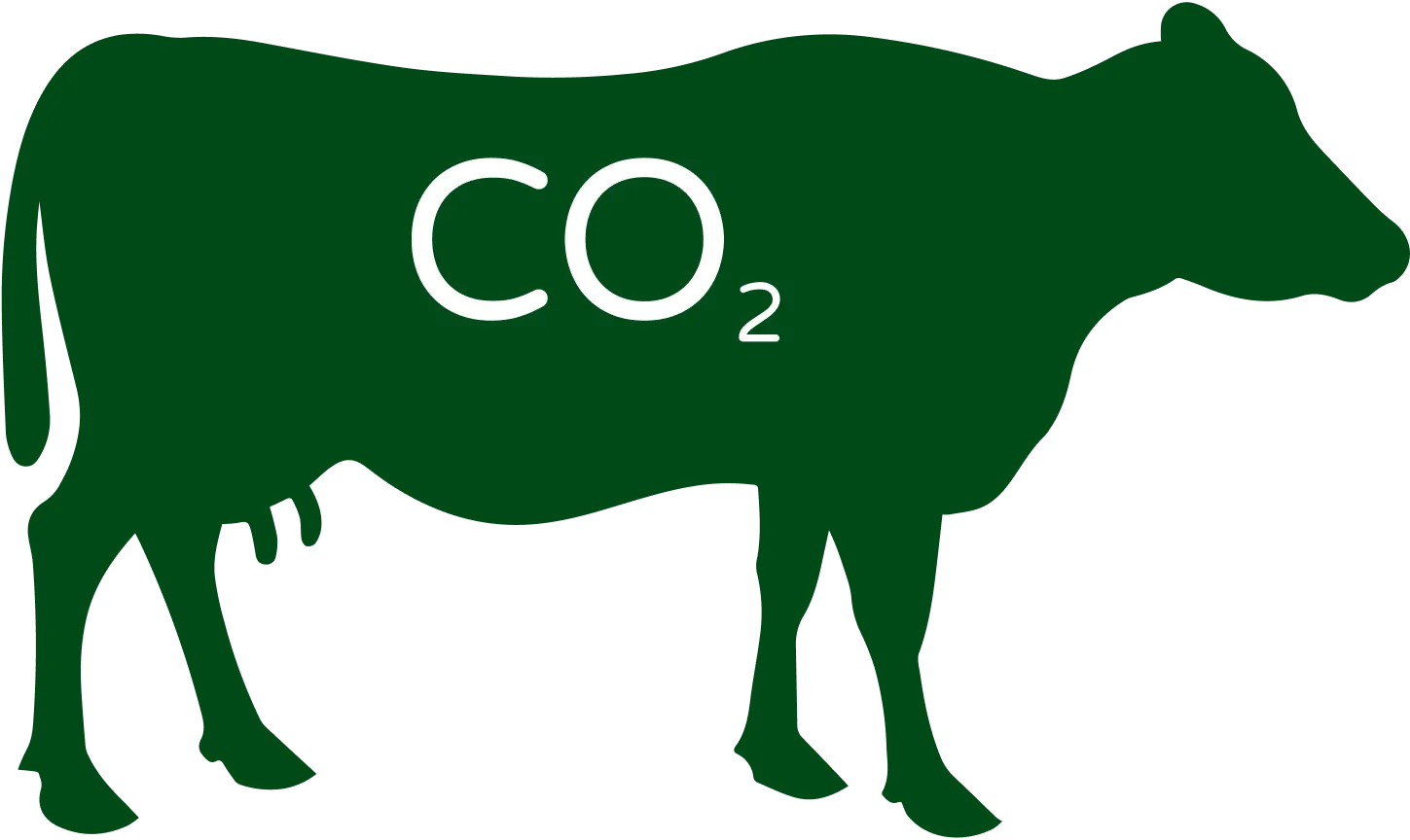 An image depicting the impact of meat eating on greenhouse gas emissions. The visual shows a cow with the letters "CO2" written on its body, symbolizing the significant contribution of livestock to greenhouse gas emissions. The image highlights the link between meat consumption and environmental degradation, particularly in relation to climate change.