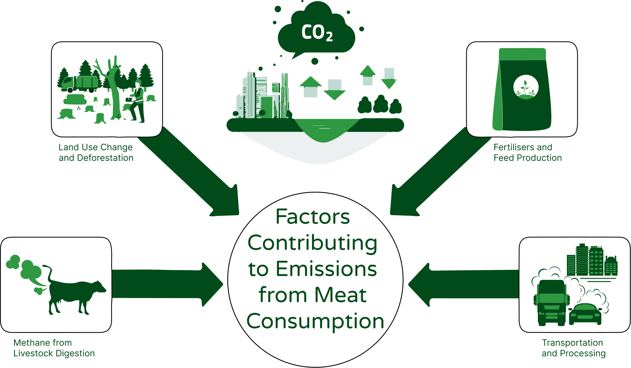 An image depicting four factors contributing to emissions from meat consumption. The visual shows four icons, each representing a different factor. The first icon shows a cow with methane gas emissions coming from its mouth, representing the methane produced from livestock digestion. The second icon shows a forest being cleared, representing land-use change and deforestation associated with livestock farming. The third icon shows a bag of fertilizers and a corn plant, representing the use of fertilizers and feed production for livestock. The fourth icon shows a truck and a factory, representing the emissions associated with transportation and processing of meat products.