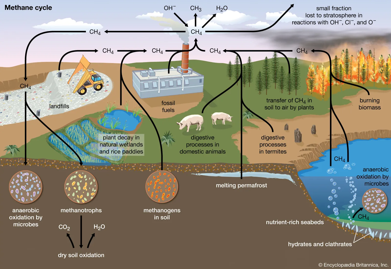 Diagram of the methane cycle by Encyclopaeda Brittanica