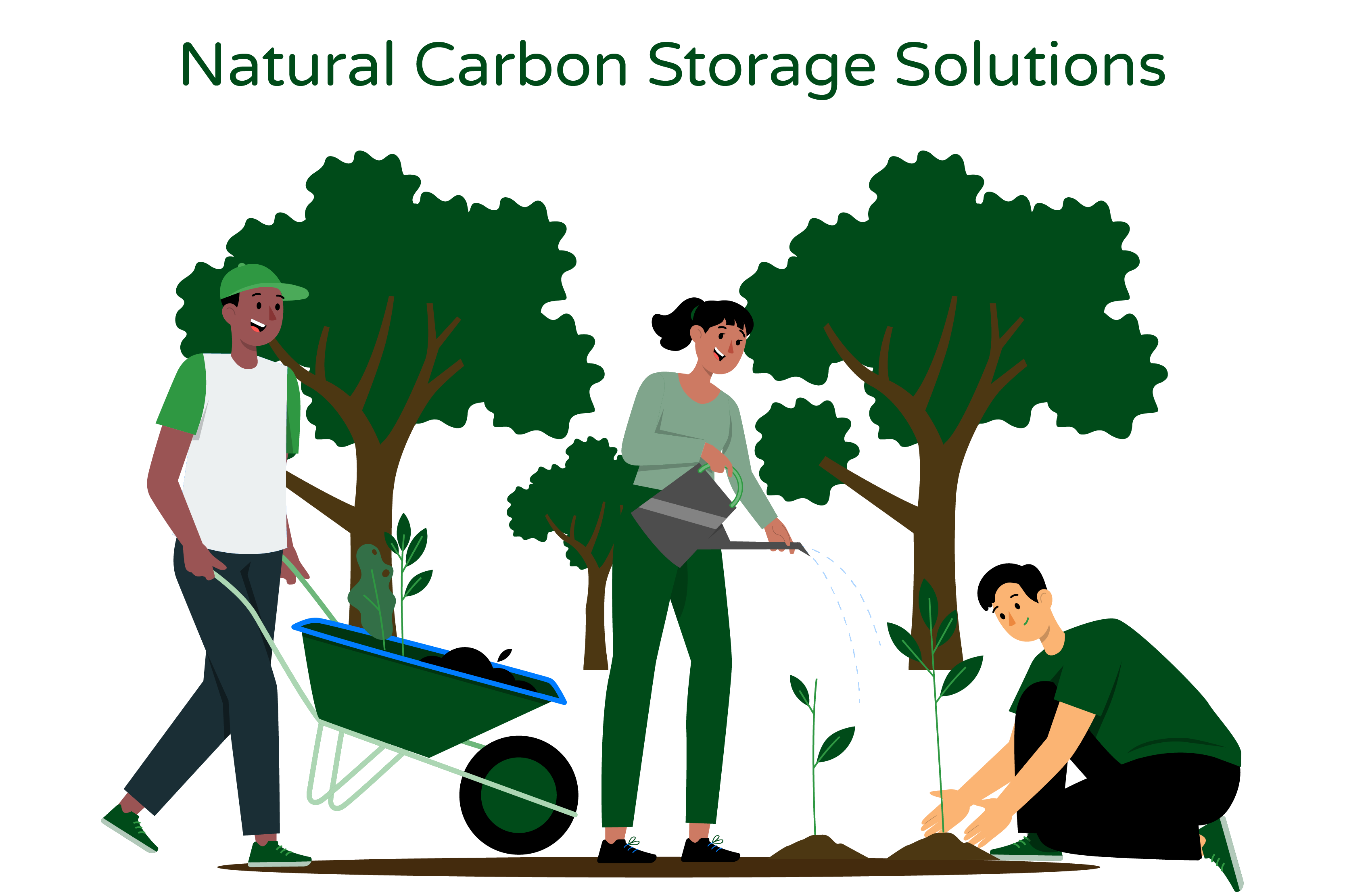Illustration titled 'Natural Carbon Storage Solutions.' The image portrays three individuals actively engaged in growing plants and forests as part of a strategy to naturally trap carbon. They are depicted planning and implementing methods to enhance carbon storage in the environment."  The illustration visually represents the concept presented in the title. It showcases the efforts of individuals to utilize natural carbon storage solutions. The three people symbolize the collective action taken by communities, organizations, or individuals to contribute to carbon sequestration through plant and forest growth.  By growing plants and forests, they are actively participating in the natural process of carbon capture, where plants absorb carbon dioxide (CO2) during photosynthesis and store it within their biomass and in the soil. This depiction highlights the significance of nature-based approaches in mitigating climate change and reducing CO2 levels in the atmosphere.  Overall, the 'Natural Carbon Storage Solutions' illustration conveys the importance of harnessing natural processes, such as plant and forest growth, as effective strategies for trapping carbon and addressing climate change.
