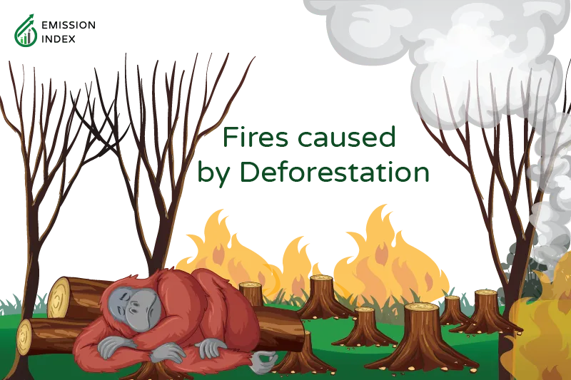 A distressed monkey sits outside a forest wildfire, representing the real-world implications of fires caused by deforestation. The illustration showcases case studies, including the Amazon Rainforest (Brazil, 2019), Australian Bushfires (2019-2020), and Indonesia (2015), demonstrating the hazardous link between deforestation and devastating wildfires.