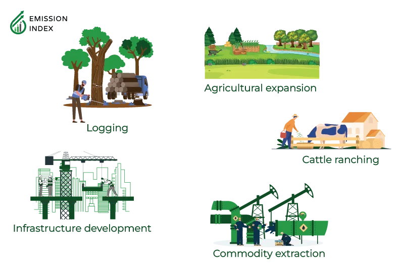  llustration titled 'Causes of Deforestation.' The image displays five major causes of deforestation: agricultural expansion, logging, cattle ranching, infrastructure development, and pursuit of valuable commodities. The purpose of the illustration is to showcase the diverse drivers of deforestation, which can vary from region to region but often include these common motives.