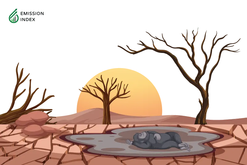 Illustration titled 'Environmental Impacts.' The image depicts a deforested area with an ape on a dry surface, representing the loss of biodiversity and habitat destruction. The purpose of the illustration is to showcase the profound consequences of deforestation on the environment, including irreversible loss of biodiversity and disruptions to ecosystems.