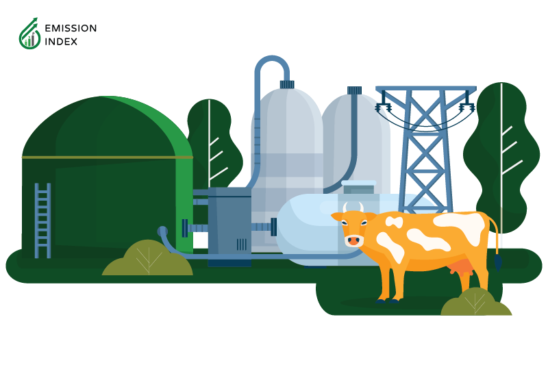 Illustration showing the production of biomass energy