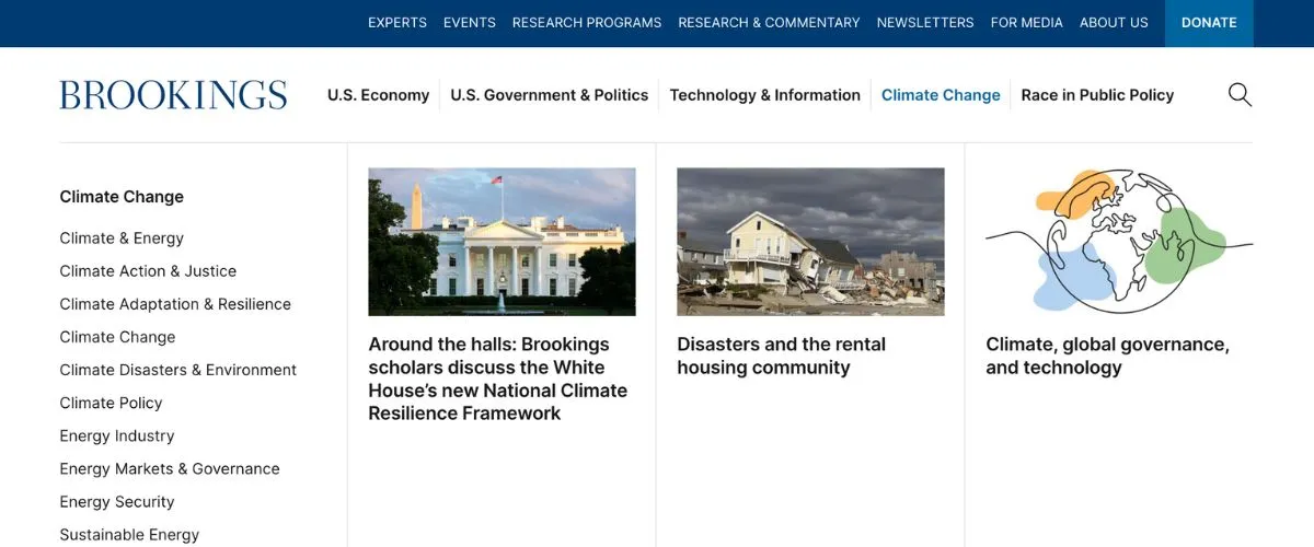 The Brookings Institute screenshot.