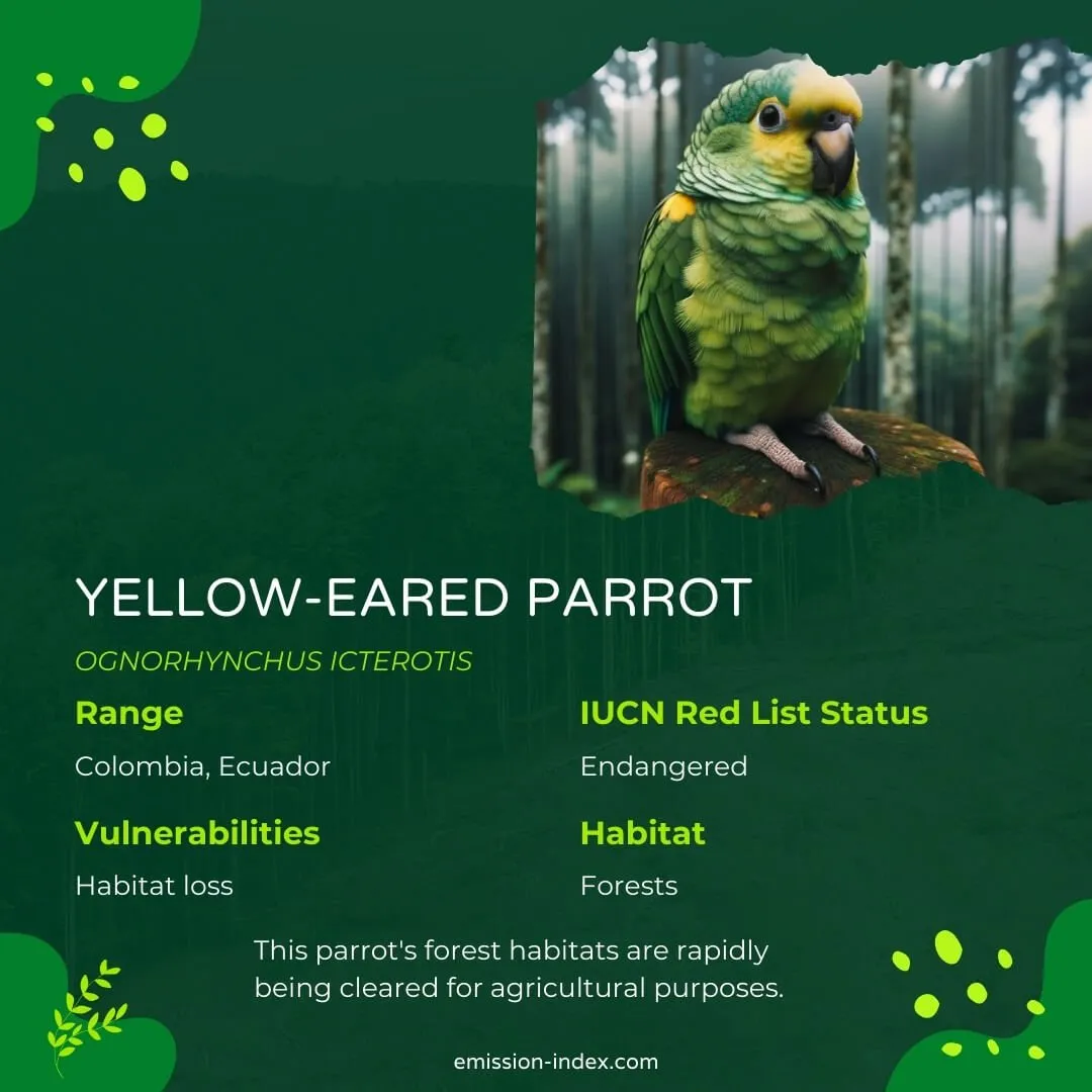 Yellow-eared Parrot perched on a wooden post, its vibrant green feathers contrasting with its namesake yellow ears, with a blurred forest backdrop.
