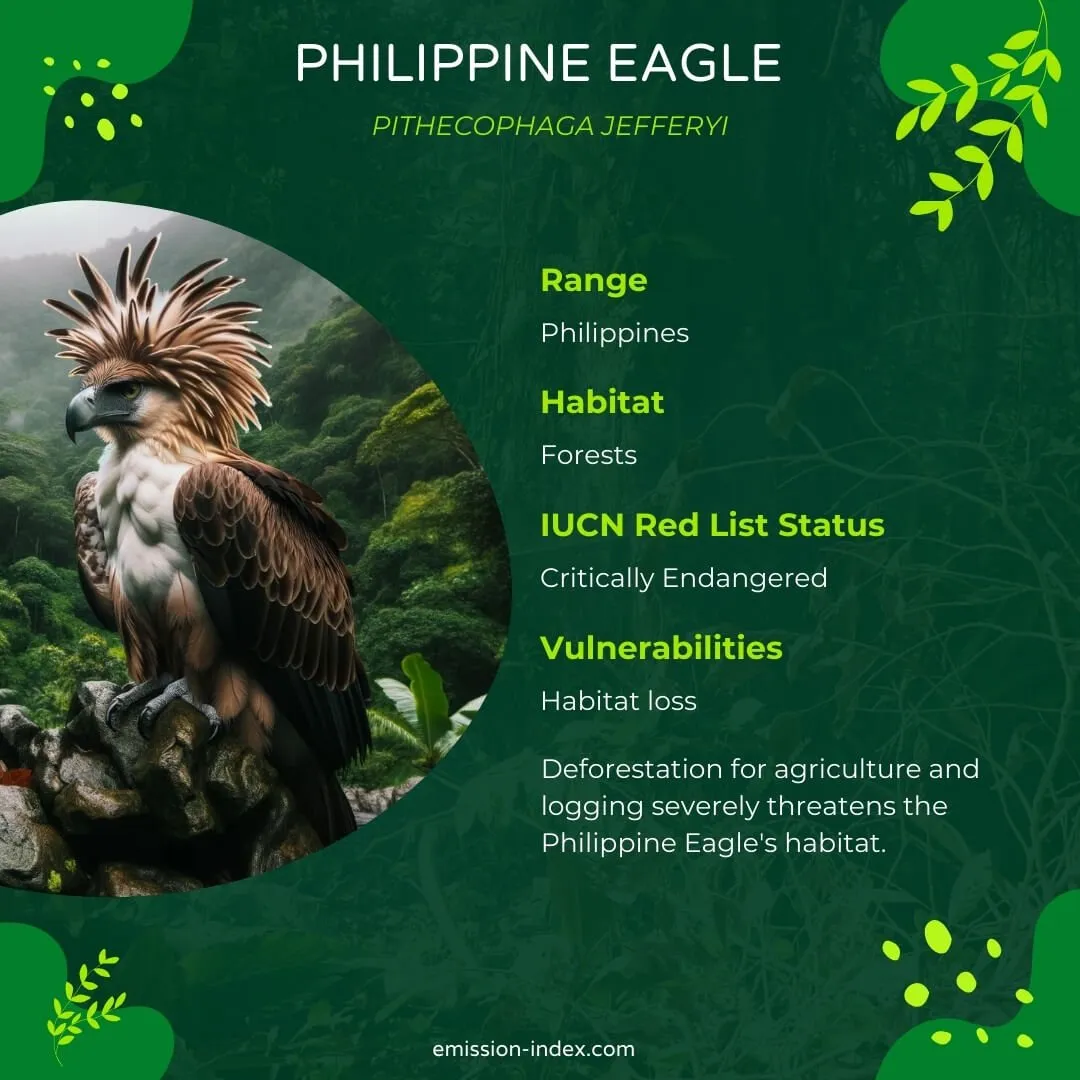 Philippine Eagle resting on a rocky outcrop, its large crest of feathers on full display, set against a lush rainforest background.