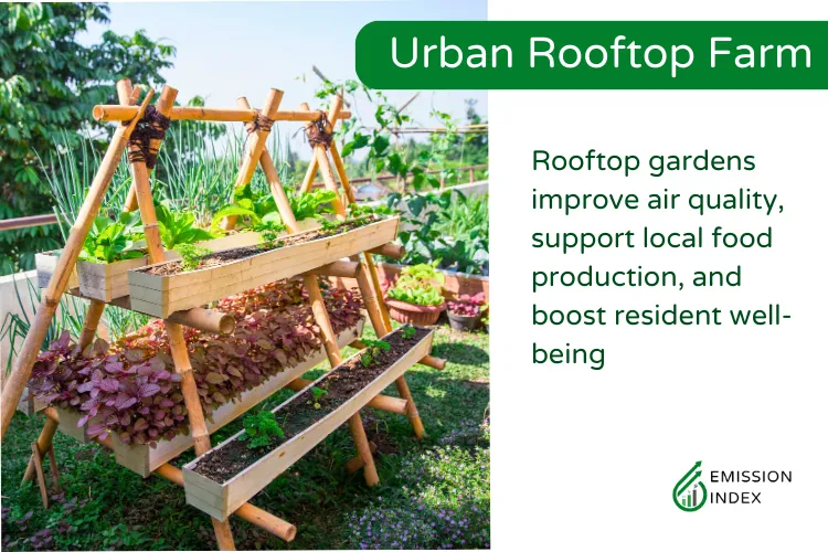 A rooftop urban farm with a panoramic city view. The image shows a variety of vegetables and herbs growing in neatly arranged beds and containers, highlighting an efficient use of urban gardening for sustainable food production.