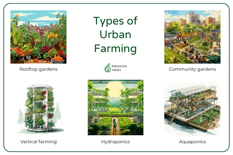 An informative illustration depicting various types of urban farming. The image includes representations of rooftop gardens, indoor vertical farms, community gardens, and hydroponic systems, each labeled and visually differentiated to educate about diverse urban agriculture methods