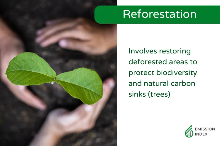Definition of reforestation as restoring deforested areas to protect biodiversity and natural carbon sinks (trees)