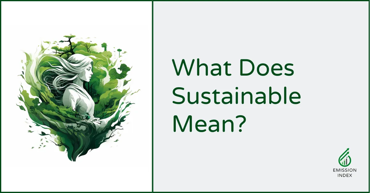 What Does Sustainable Mean?