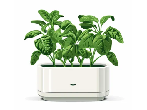 best hydroponic planters thumbnail