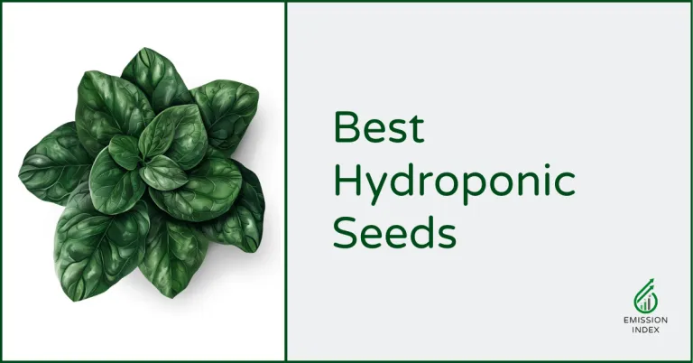 best hydroponic seeds header