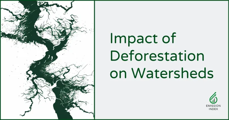 deforestation watersheds header