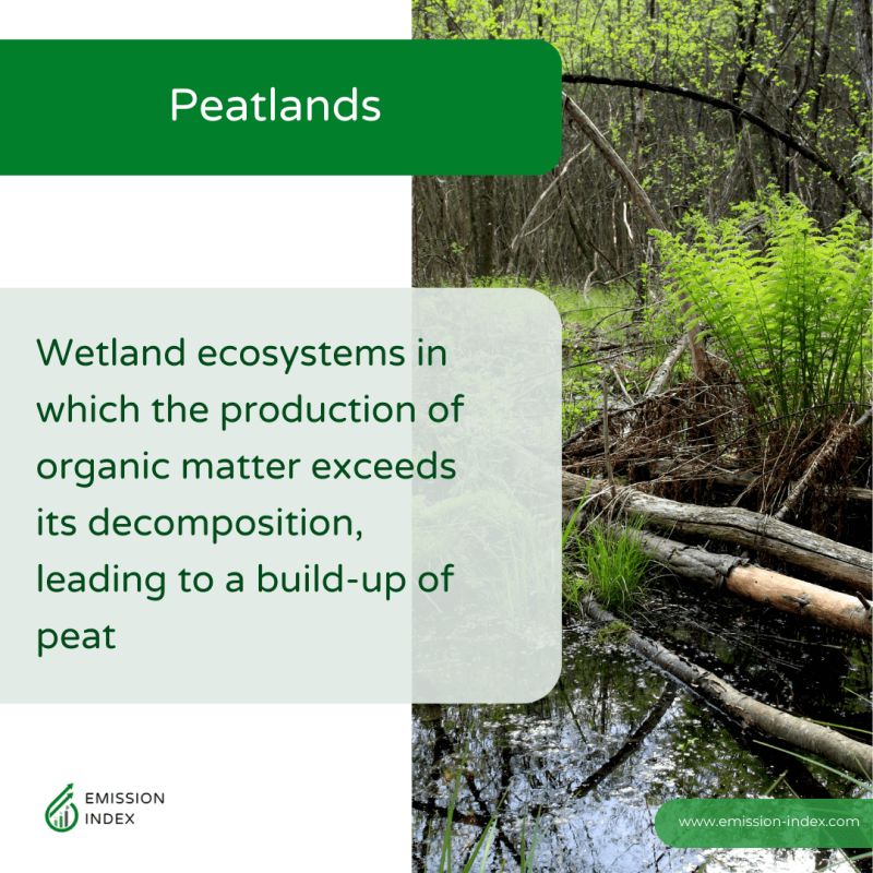 How Does Vegetation In Wetlands Reduce Atmospheric Carbon?